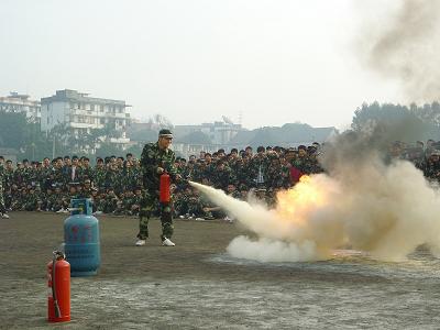 哈哈体育体育频道图片